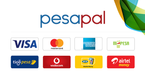 Mac & More Solutions - Pesapal