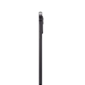 11" iPad Pro M4 WiFi 256GB Standard glass - Space Black